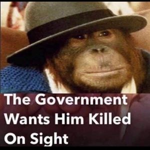 Meet your Posher, Edward